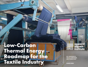 Low Carbon Thermal Energy Roadmap for Textile Industry
